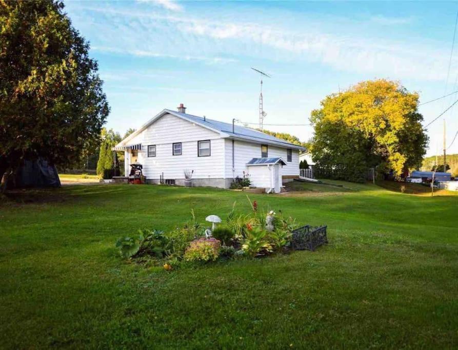 Private Cottage With Huge Private Dog Park! Barrys Bay Екстериор снимка