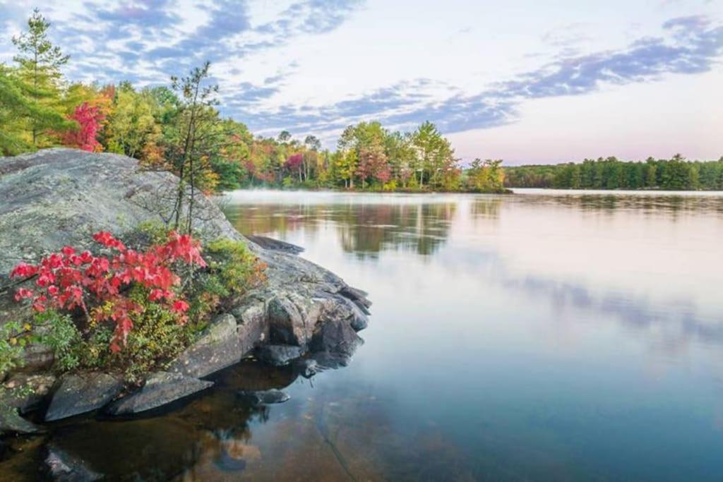 Private Cottage With Huge Private Dog Park! Barrys Bay Екстериор снимка