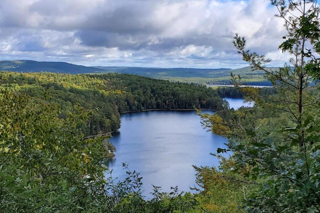 Private Cottage With Huge Private Dog Park! Barrys Bay Екстериор снимка